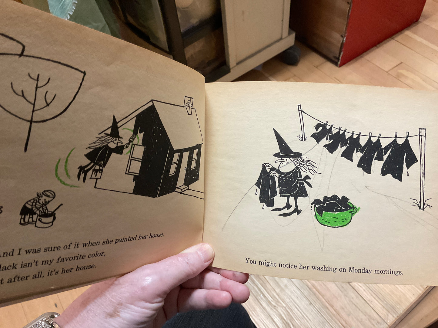 Book The Witch Next Door 1965