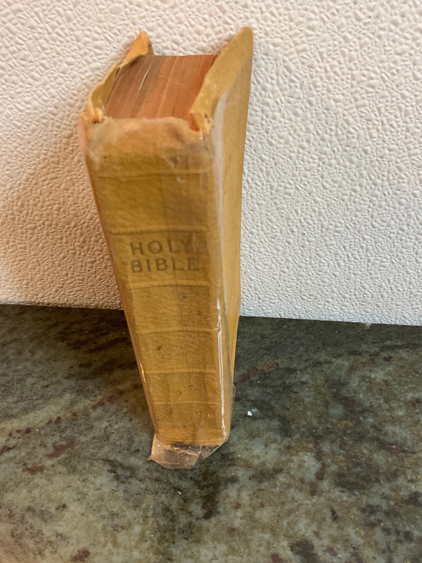Vintage Bible