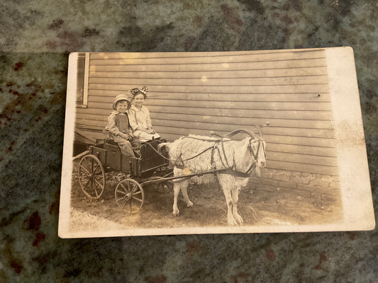 Photo Postcard Two Children/Wagon/Goat