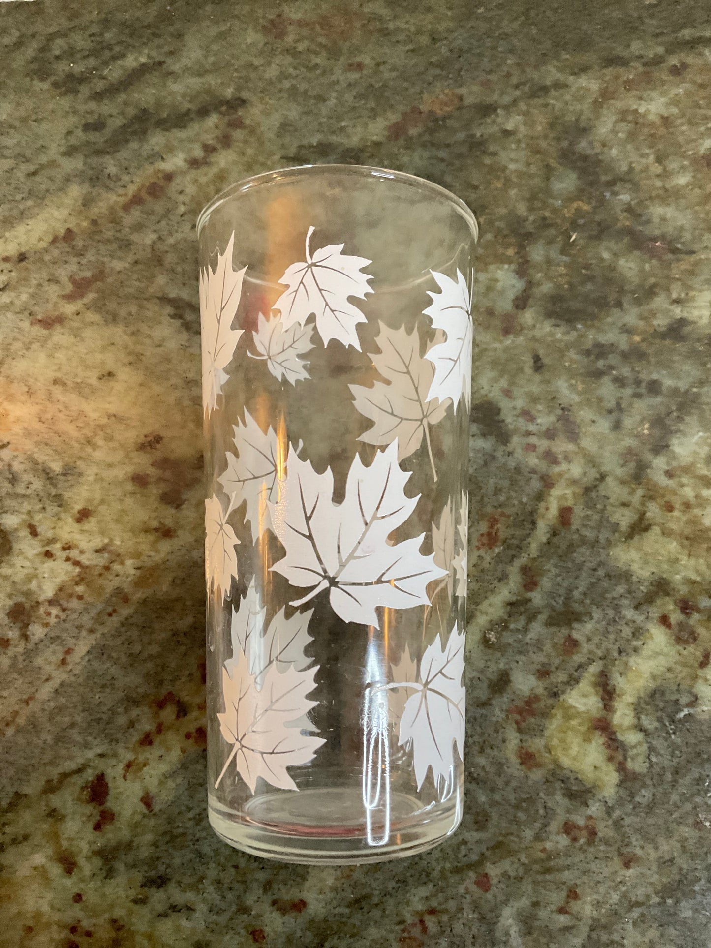 Vintage White Leaf Glass Tumbler