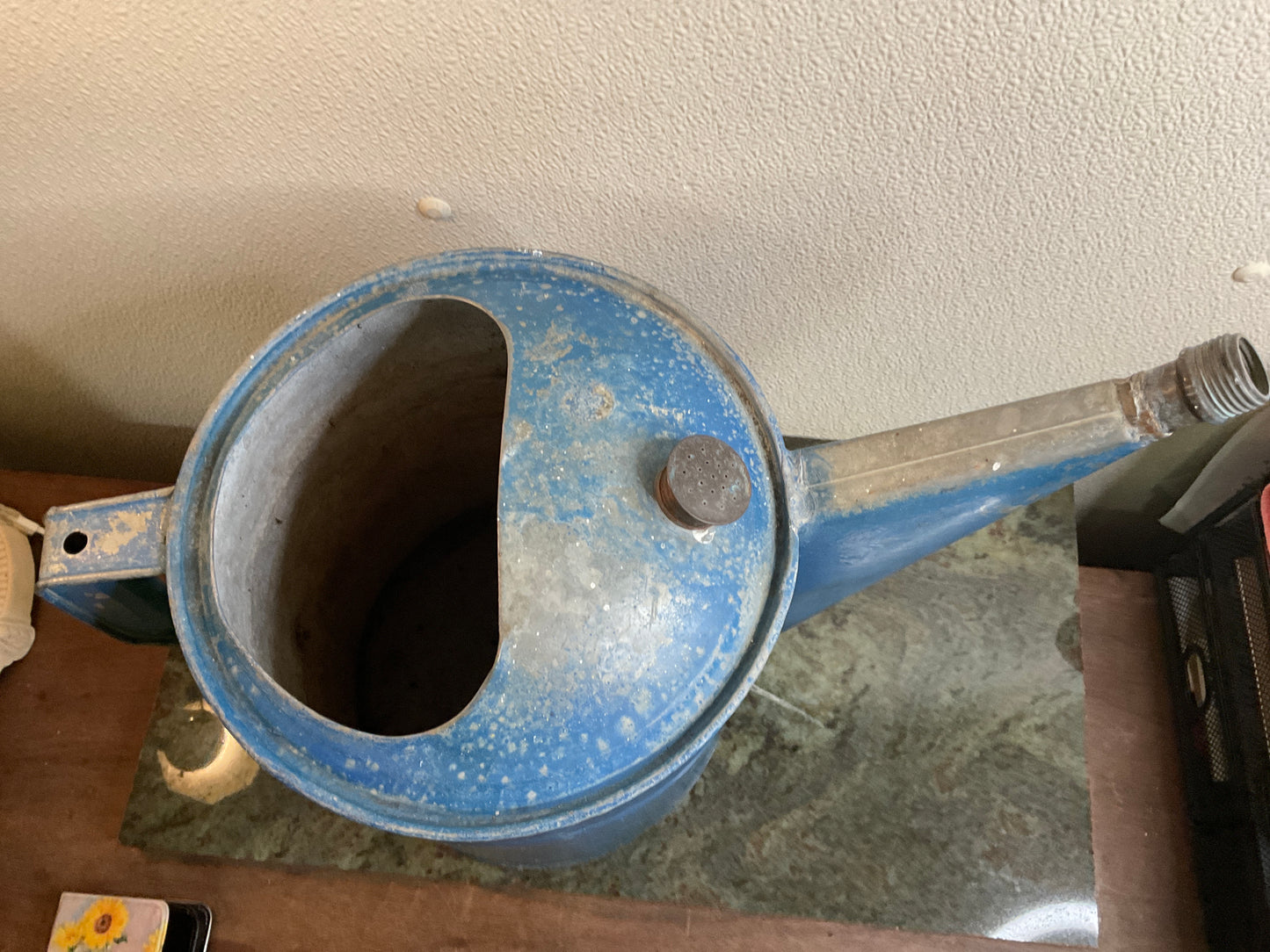 Upcycled Vintage Watering Can Flower Pot