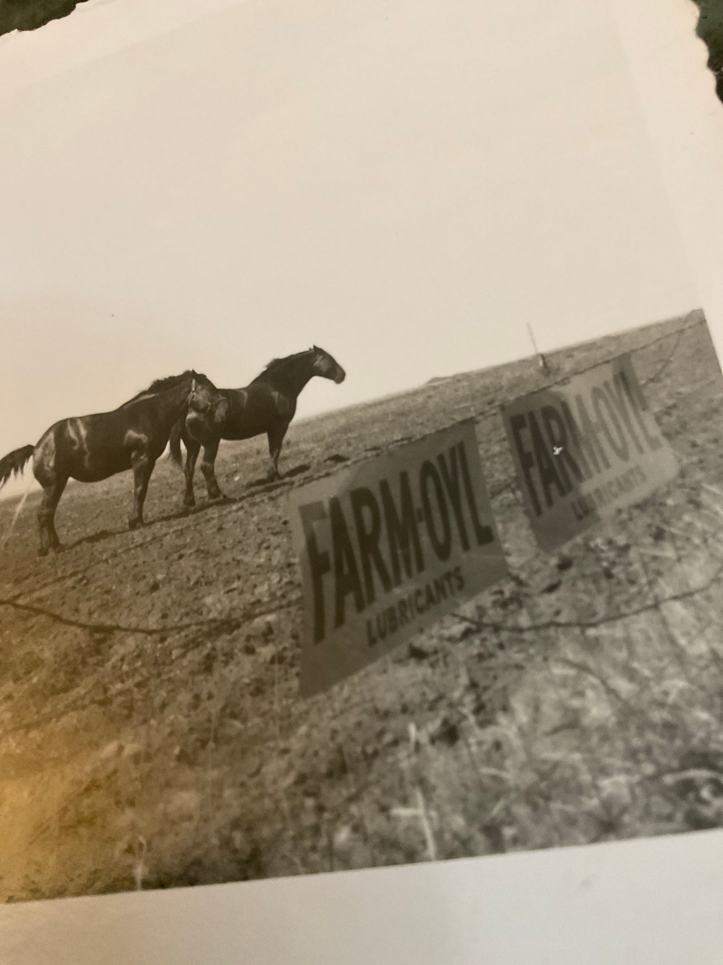 Vintage Photograph