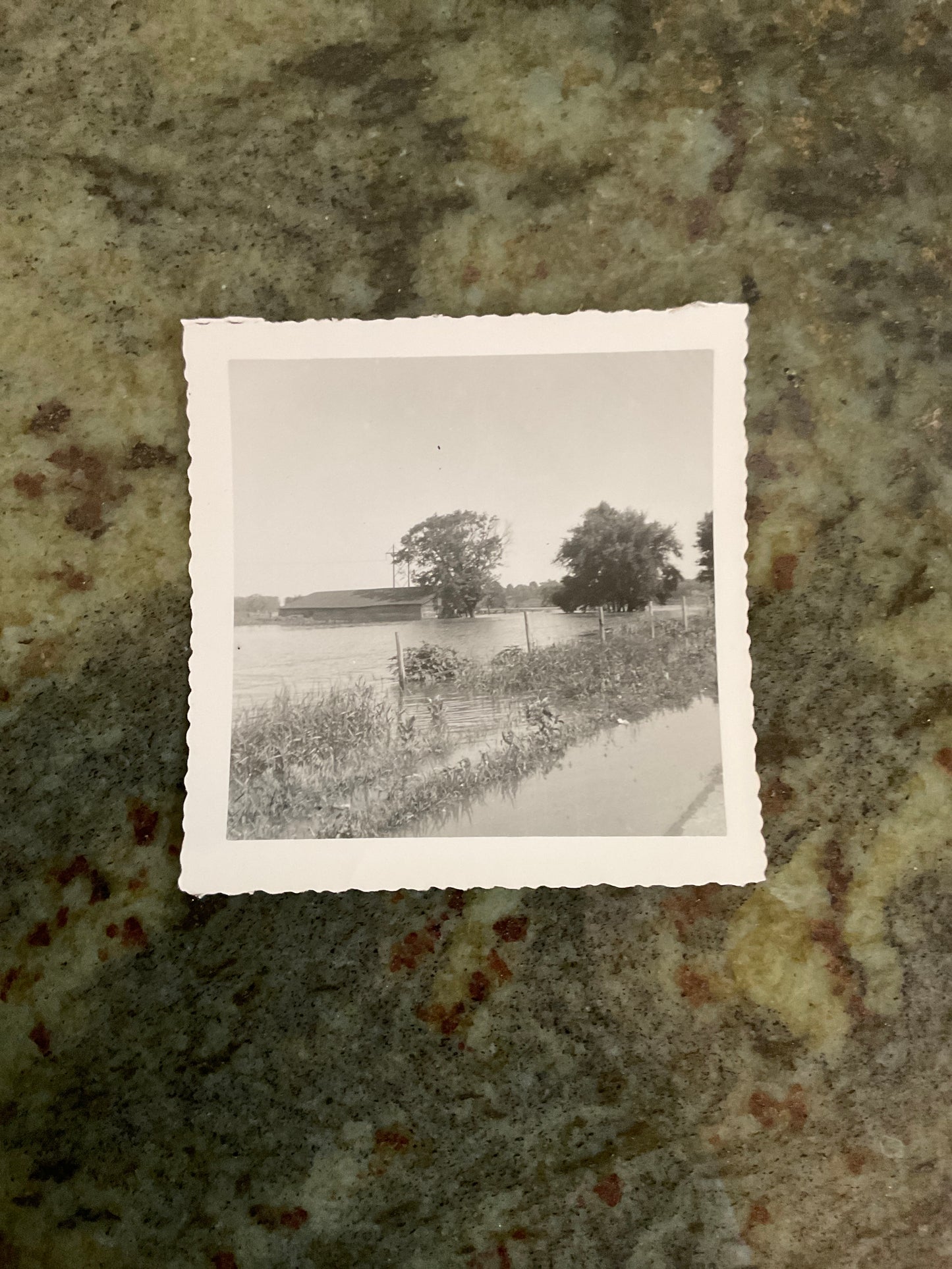 Vintage Photograph