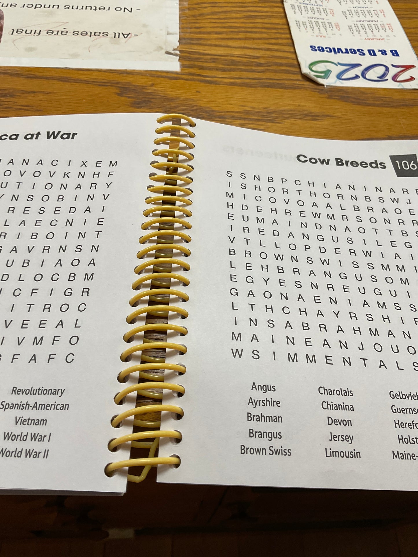 Word Search Book