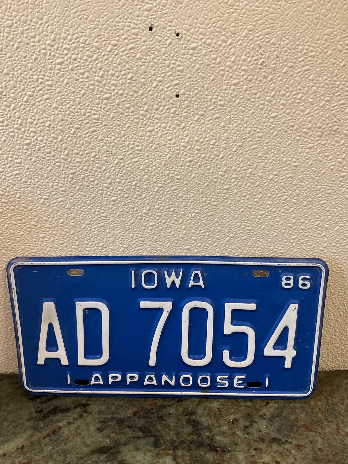Vintage set of Appanoose License Plates