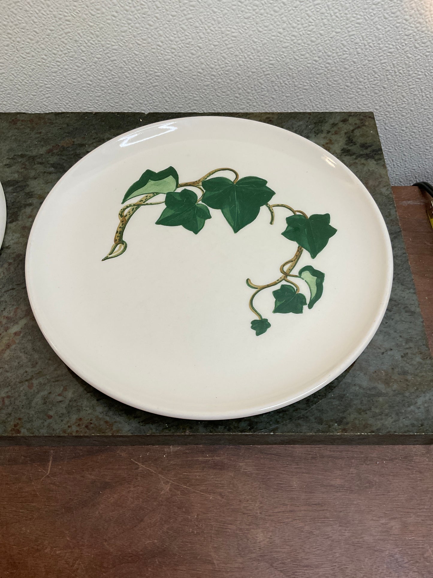 2 California Ivy 10.5” Hand painted Plates