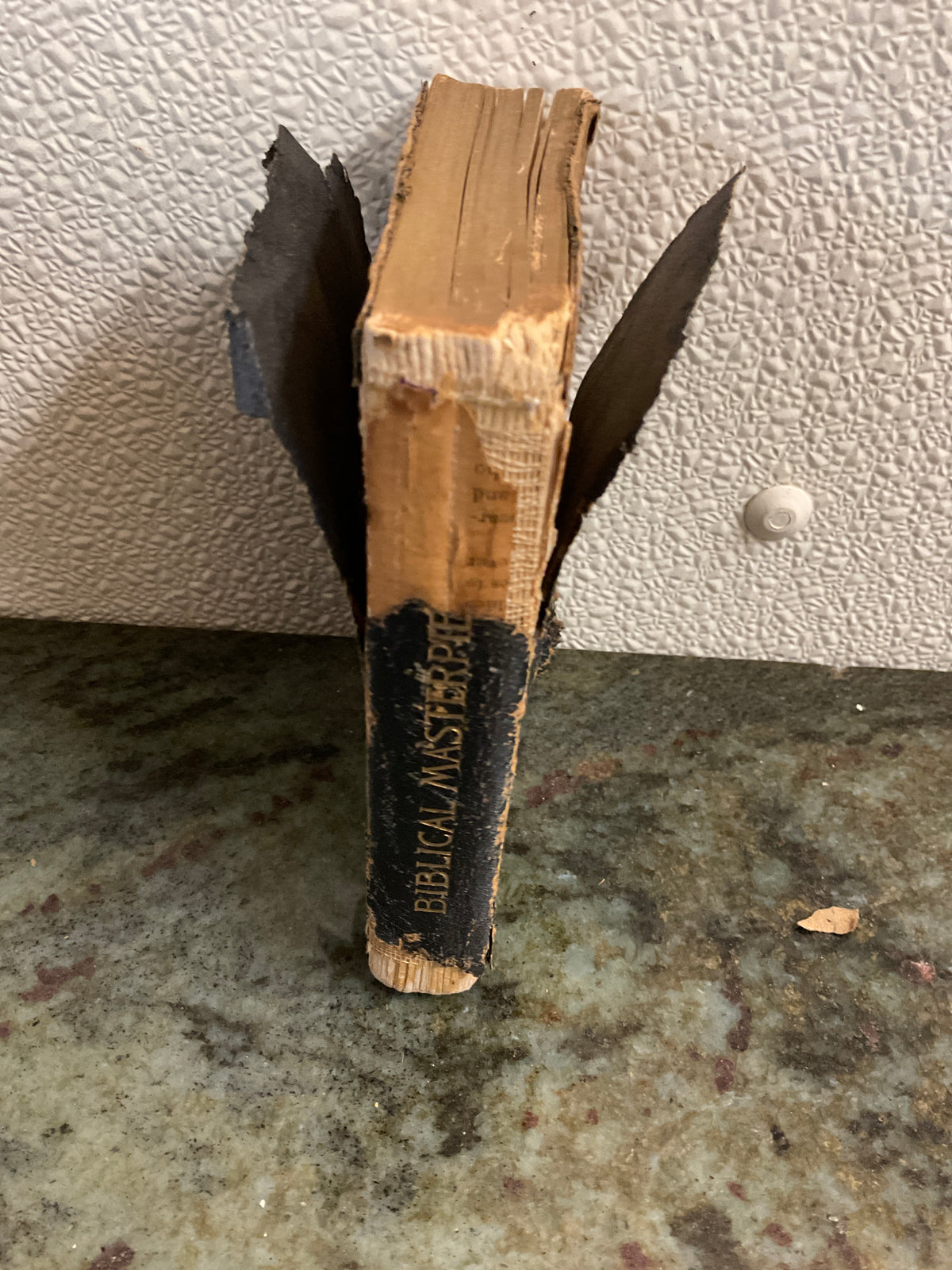 Antique  1902 Biblical Materpieces