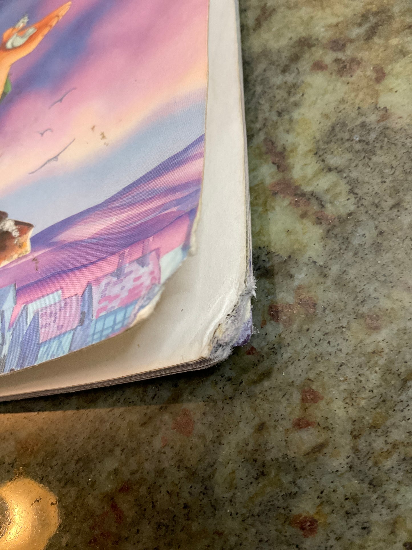 Hunchback….Book