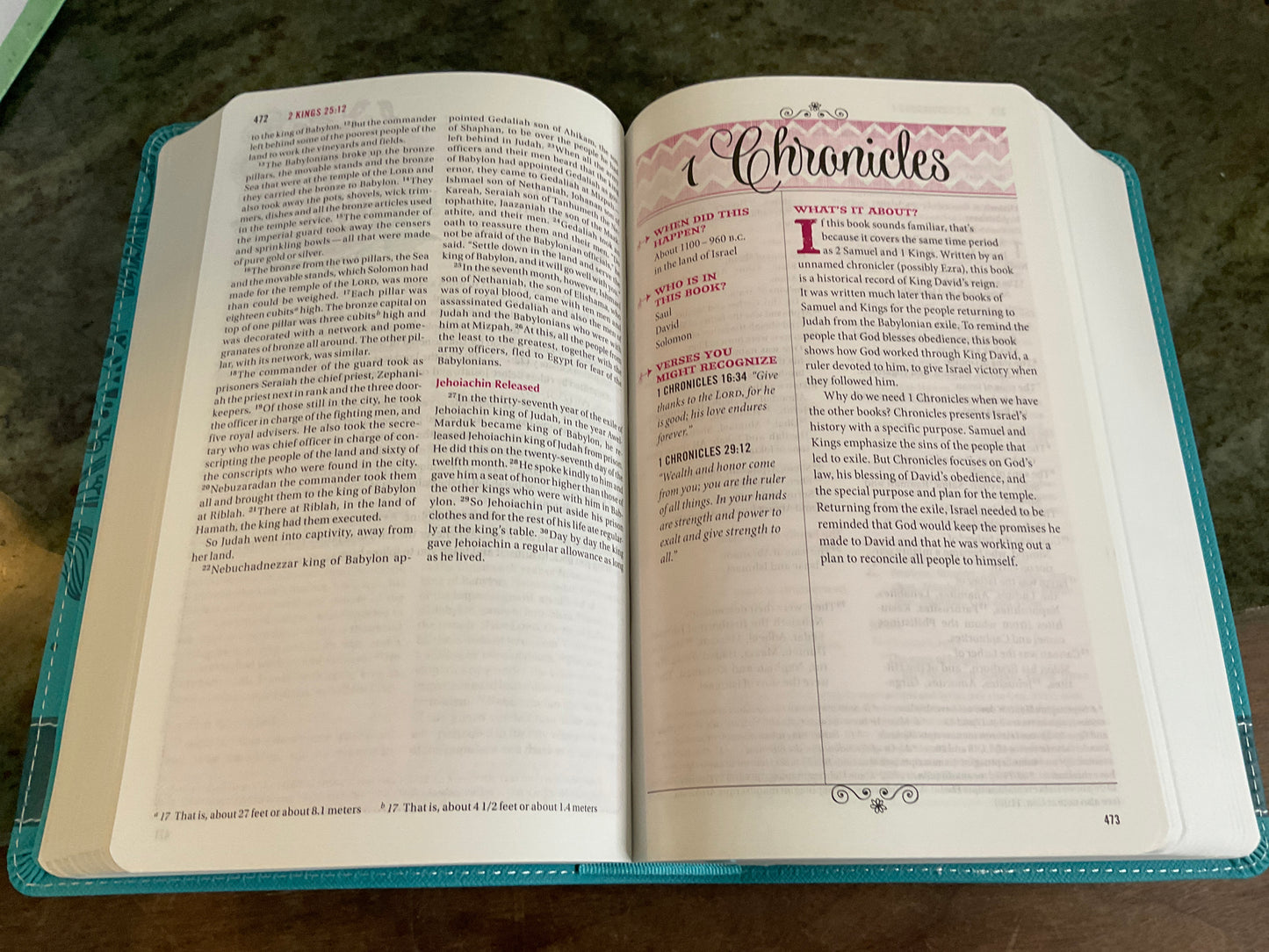 NIV Bible For Teen Girls