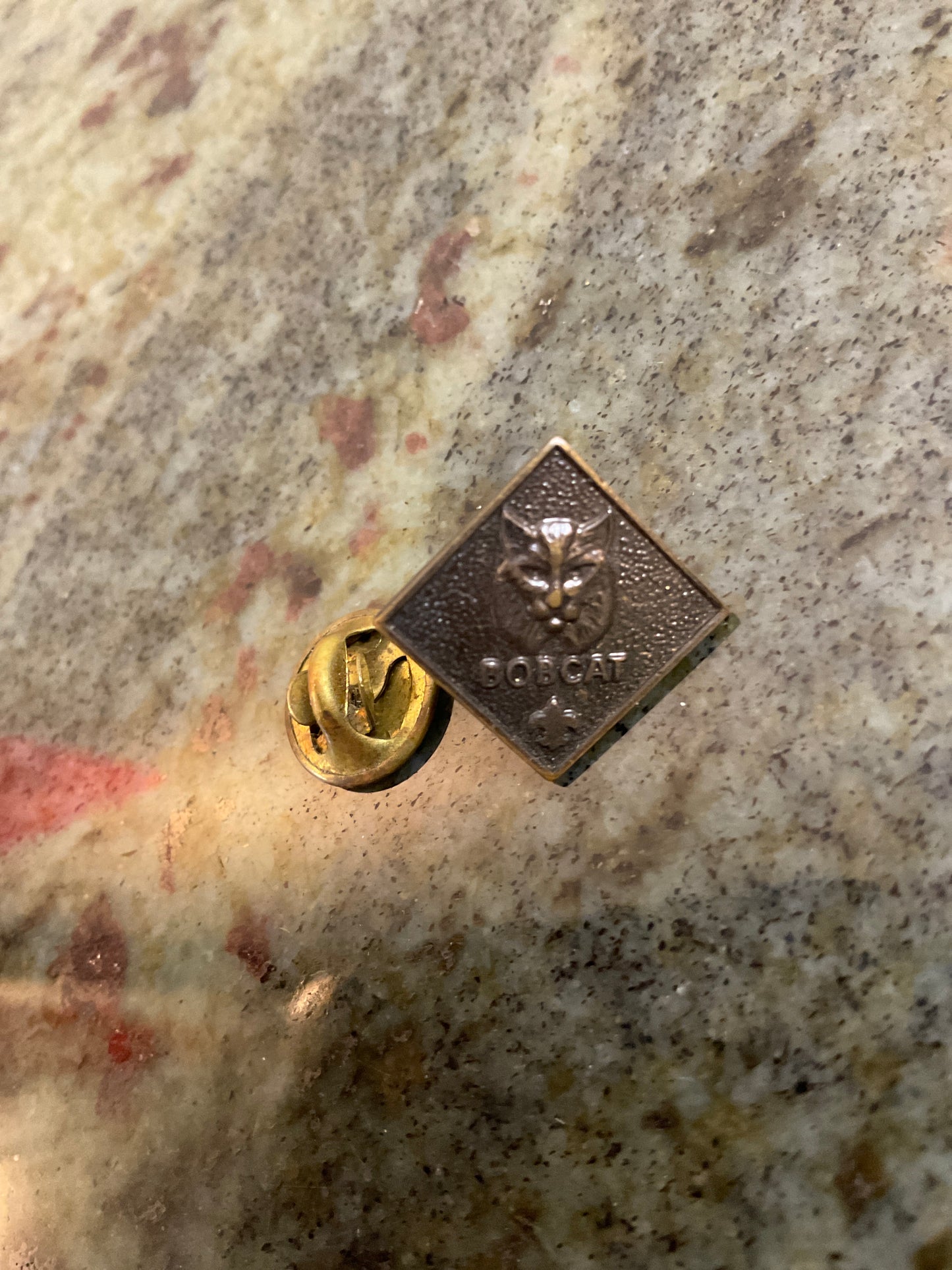 Cub Boy Scouts Of America Bobcat Lapel Pin