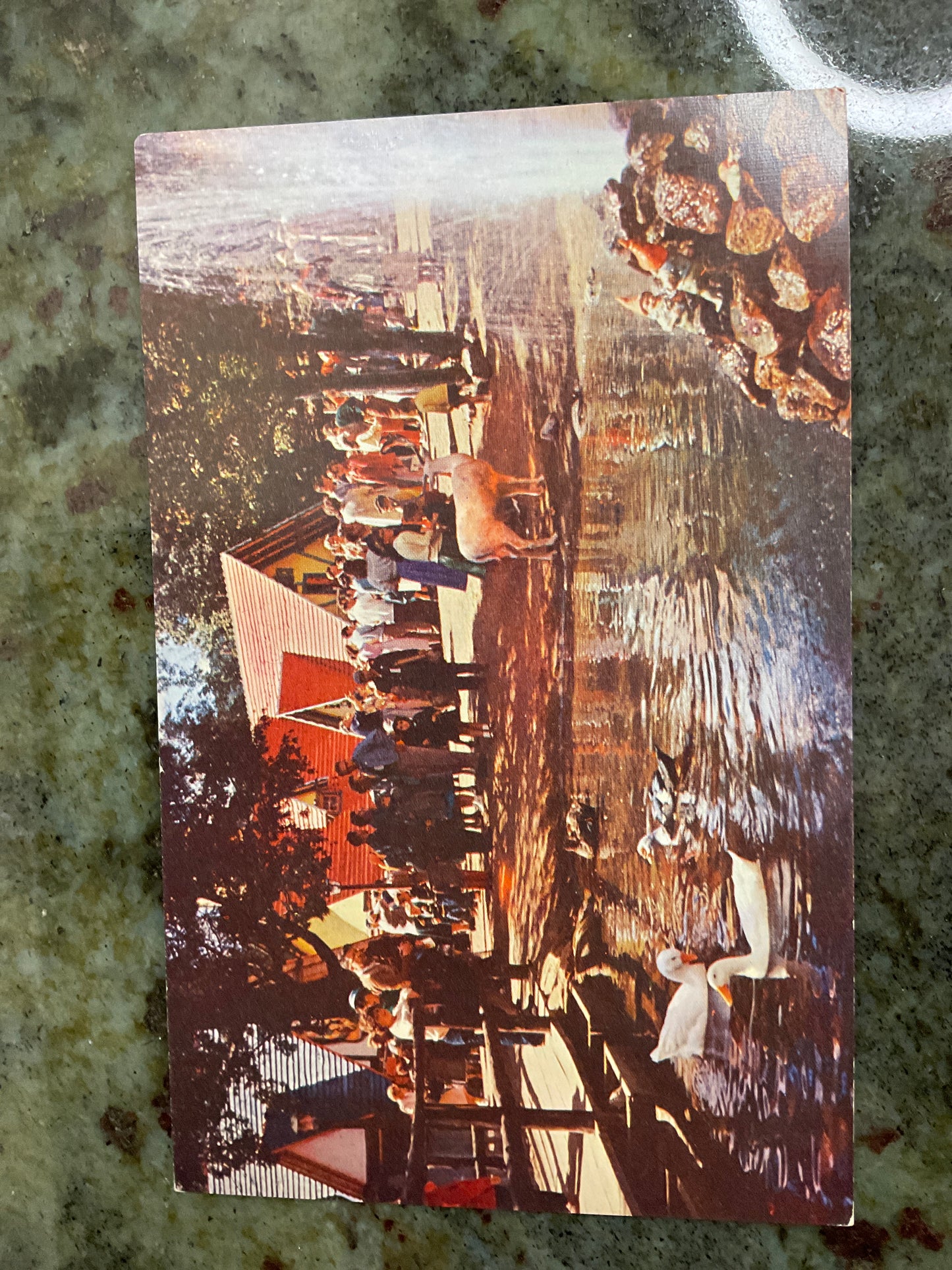Vintage Post Card
