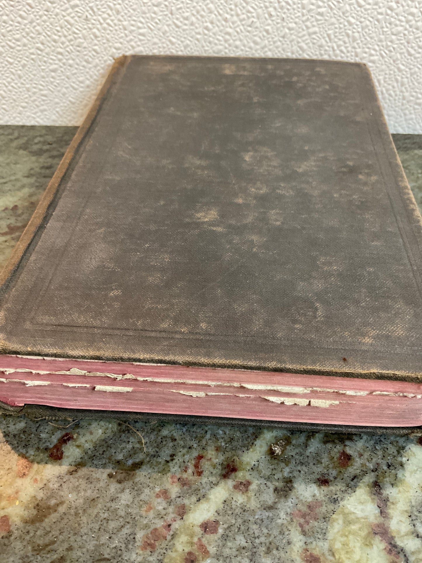 Antique 1901 Holy Bible References