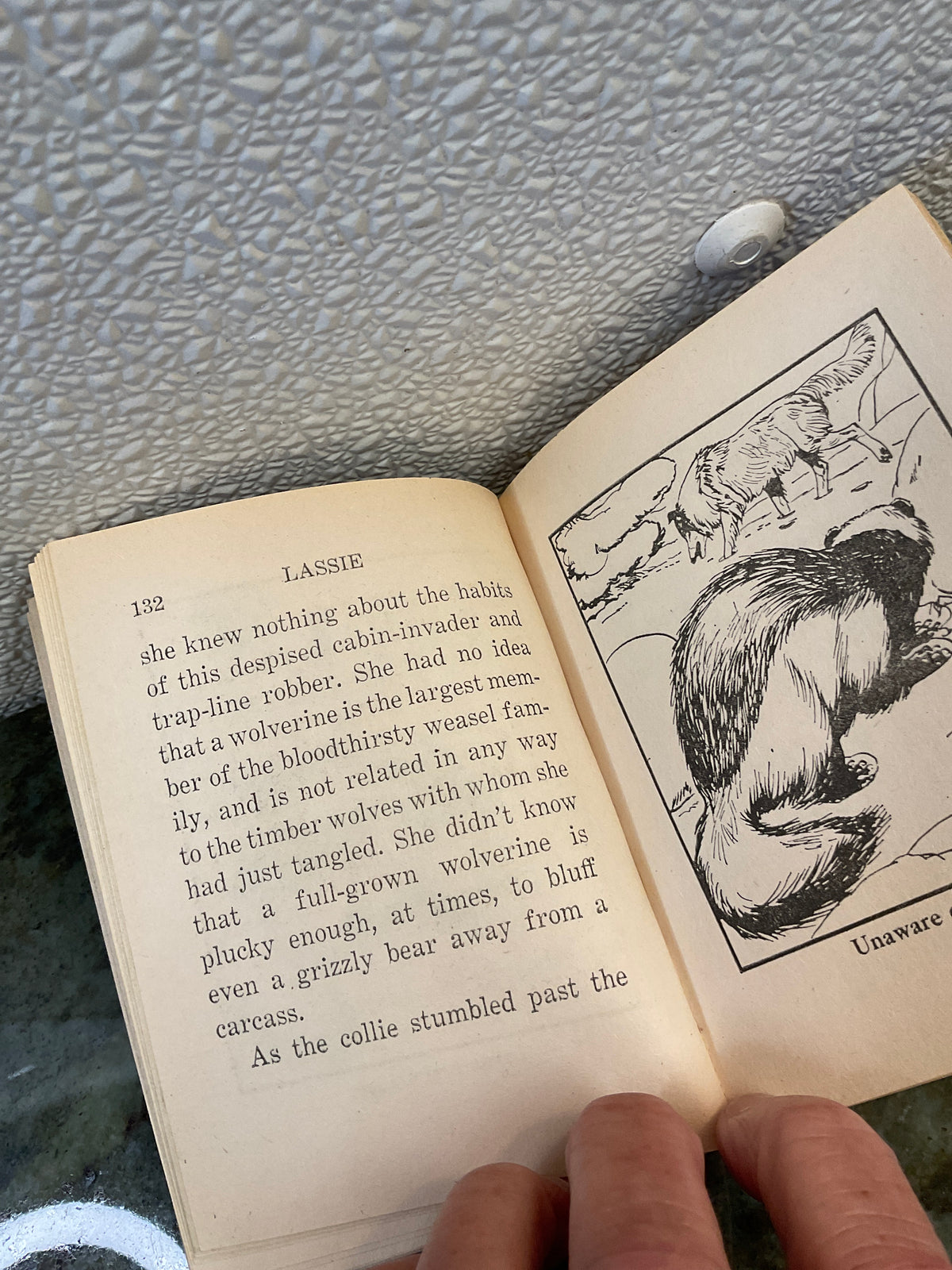 Lassie Book 1967
