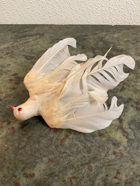 Vintage White Bird