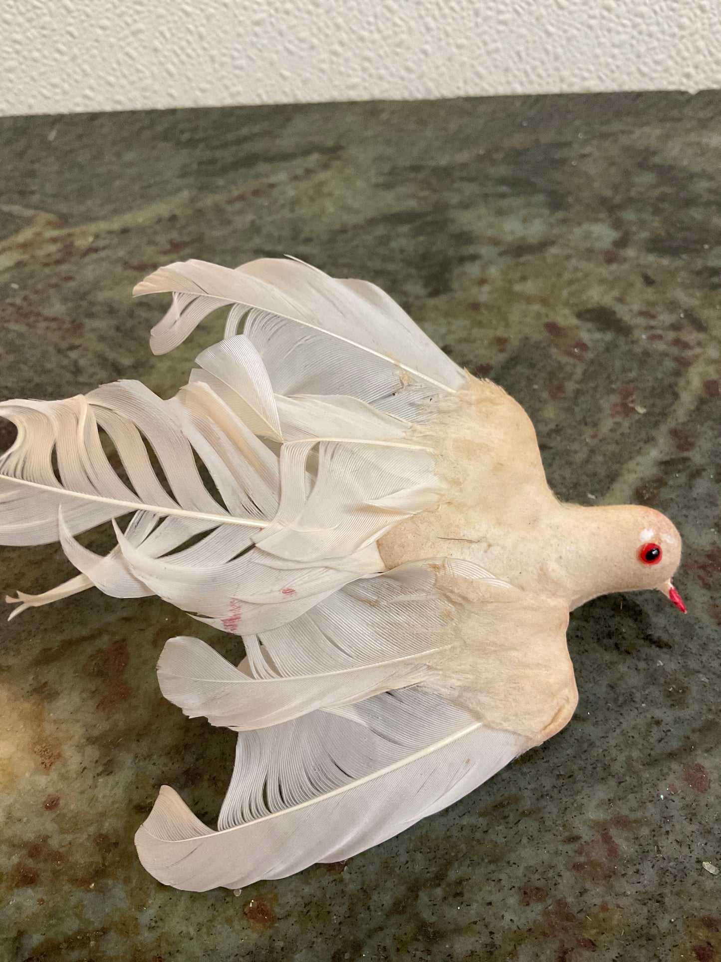 Vintage White Bird