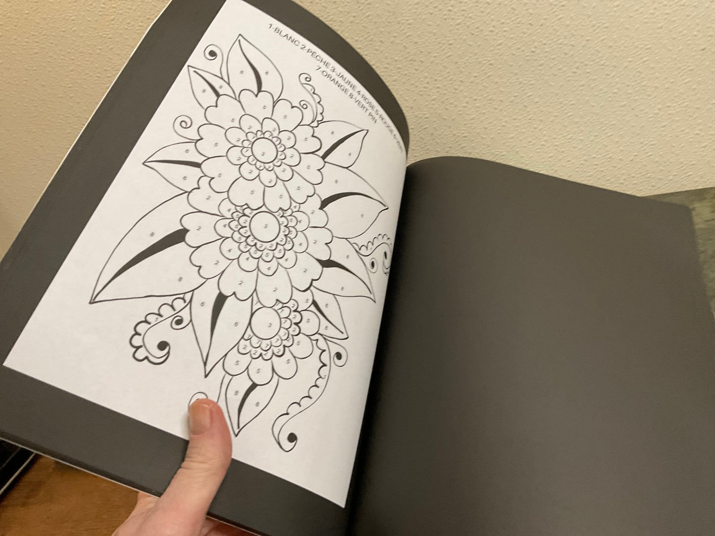 Color By Numbers Coloring Book For Kids Ages 8-12