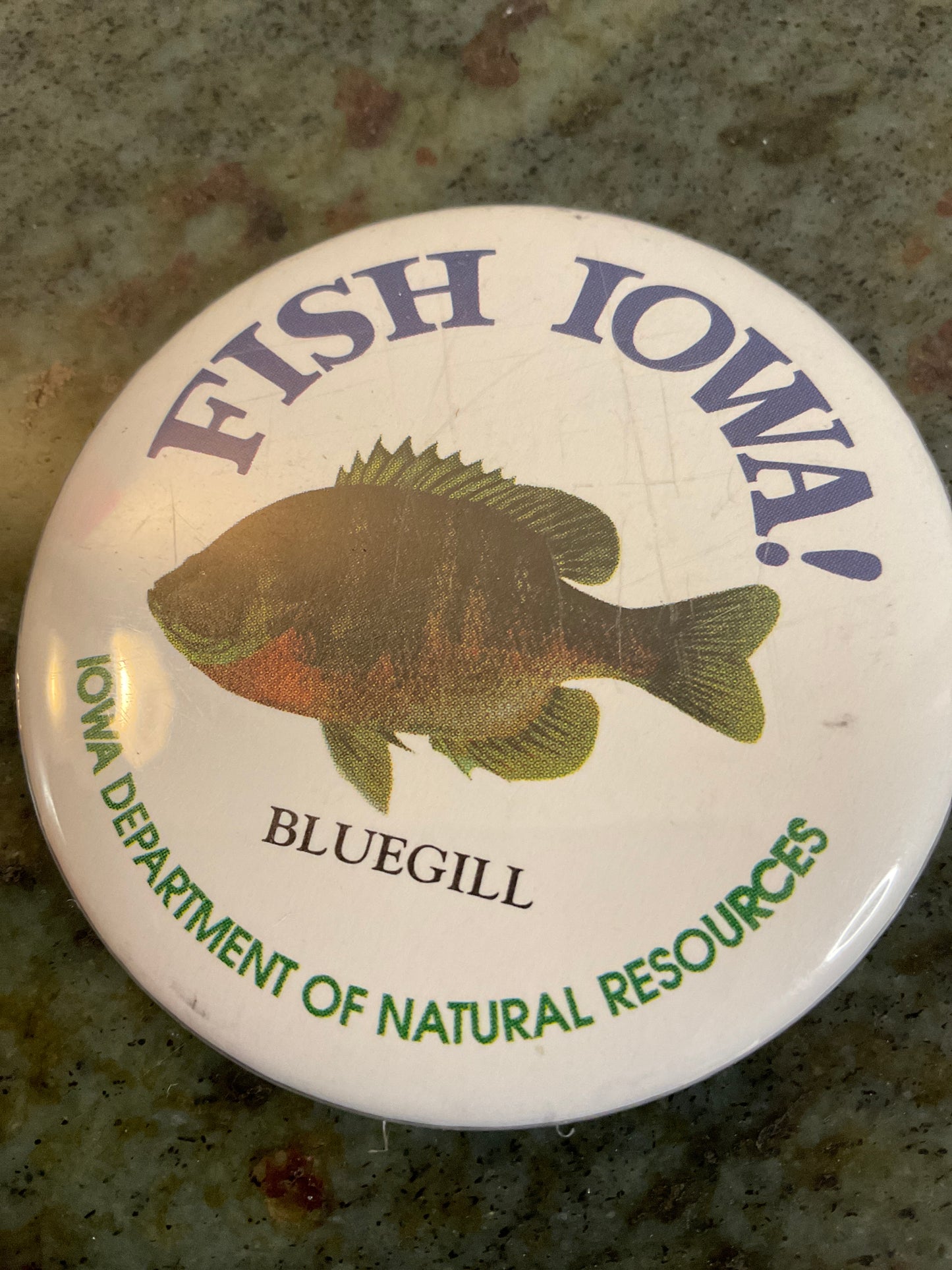 Fish Iowa Button