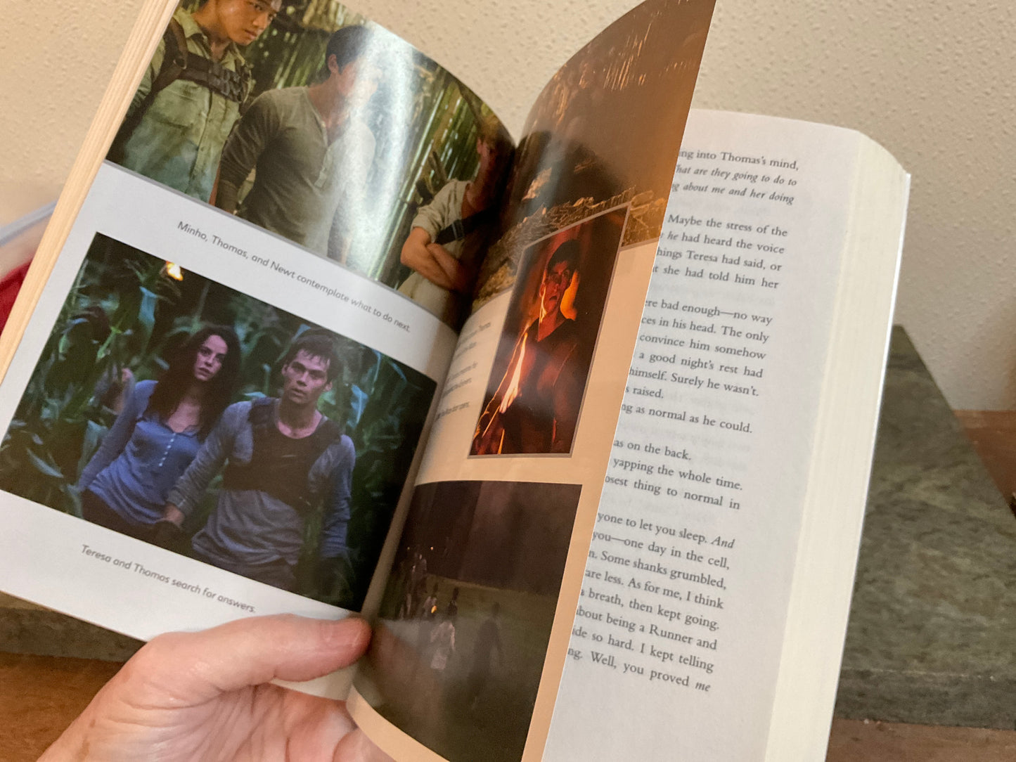 Book The Maze Runner