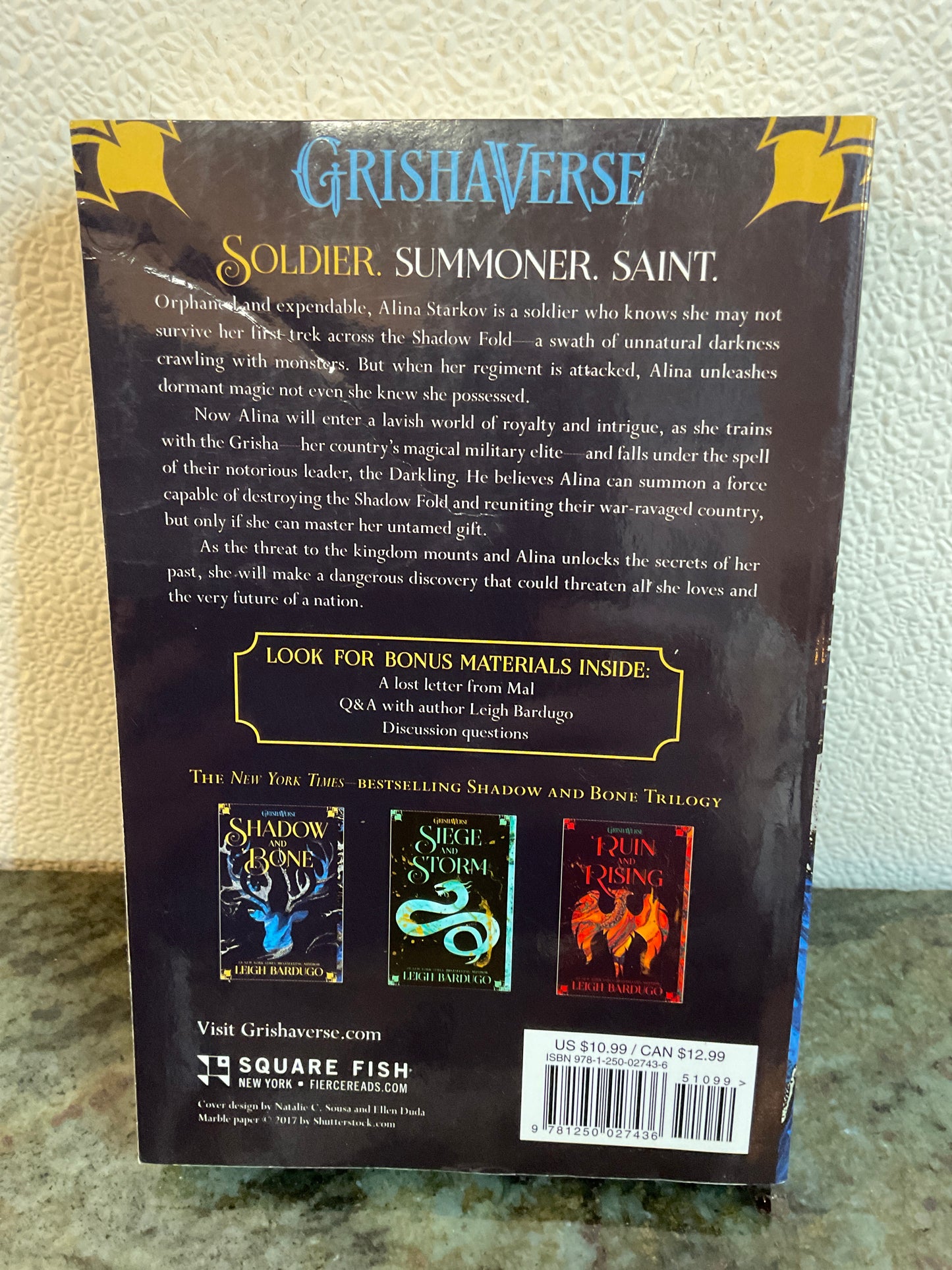 Book Shadow And Bone