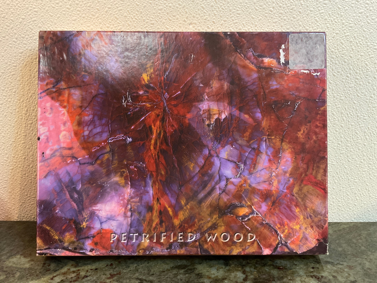 Over 500 Piece Petrified Wood Puzzle
