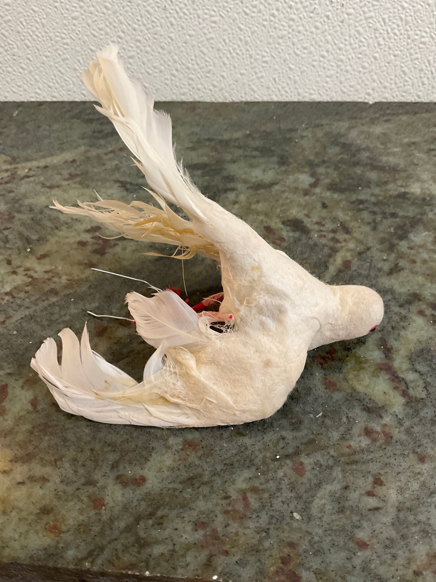 Vintage White Bird