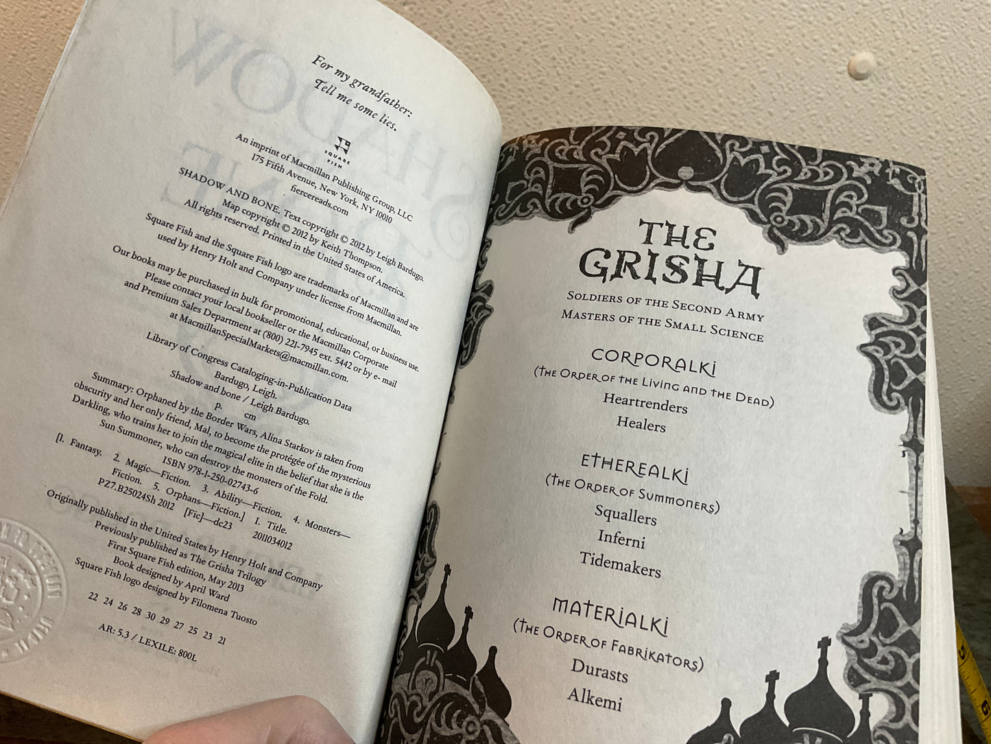Book Shadow And Bone
