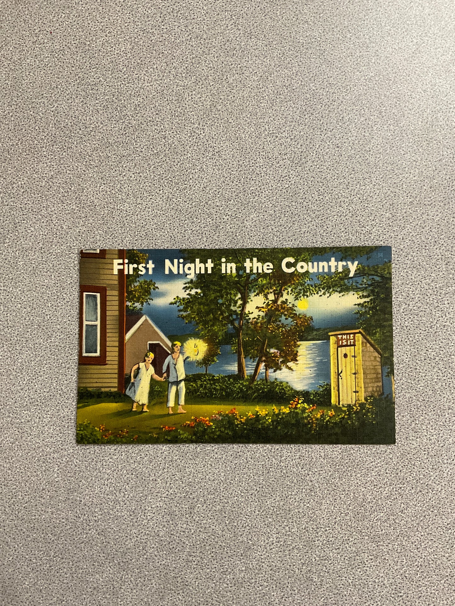 Vintage Post Card “First Night In The Country”