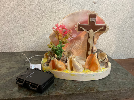 Vintage Crucifix Conch Shell/Coral/Sea Shells with Battery Fairy Lights