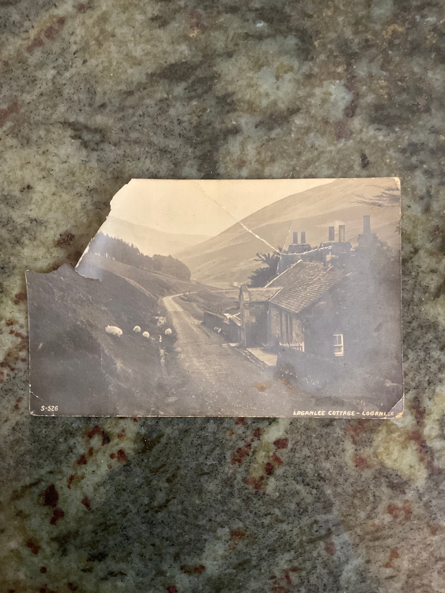 Loganlee Cottage = Loganlee Postcard