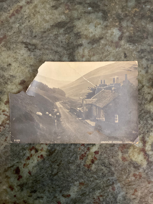 Loganlee Cottage = Loganlee Postcard