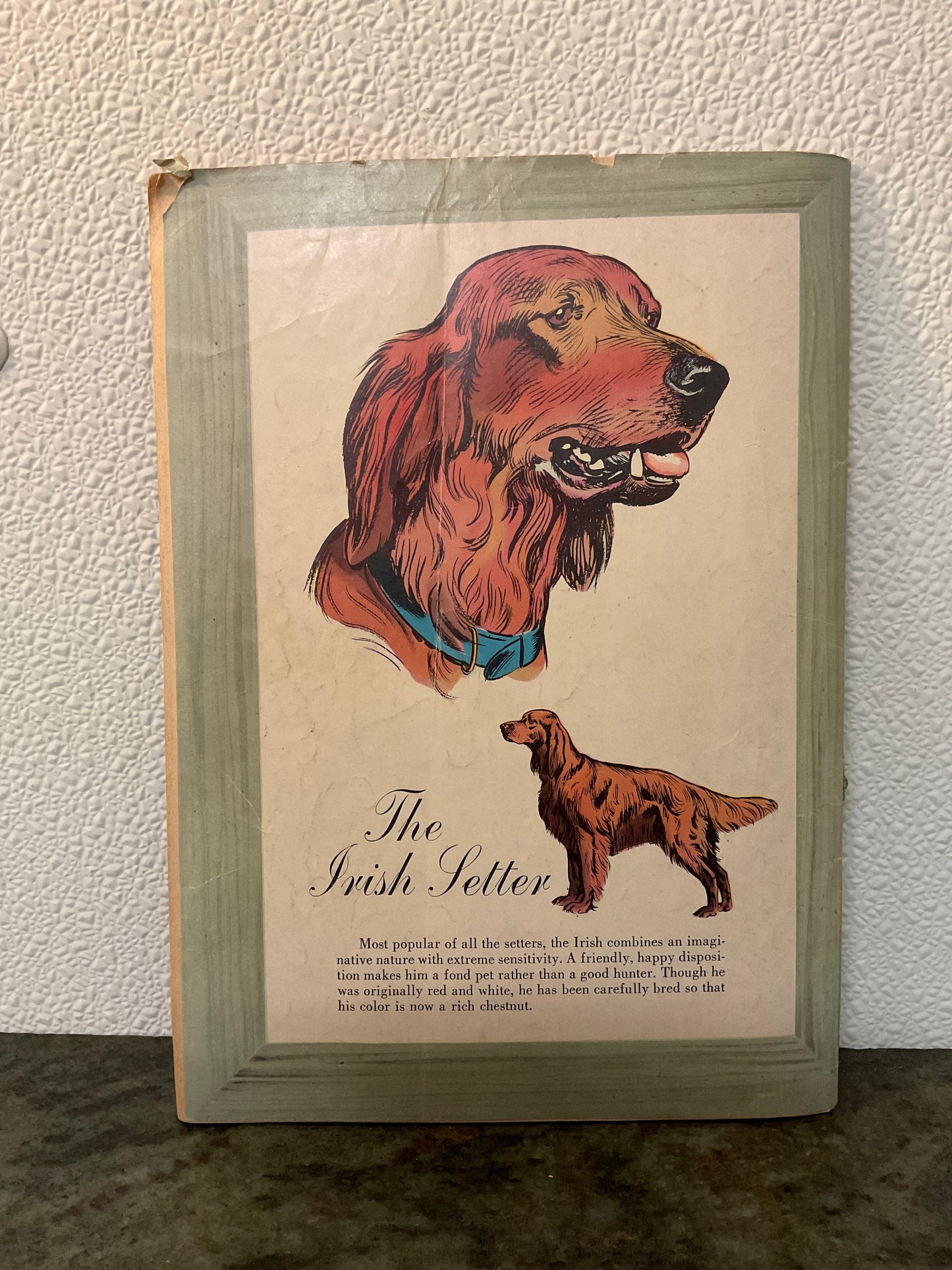 Lassie March - April 1956 Comic Book
