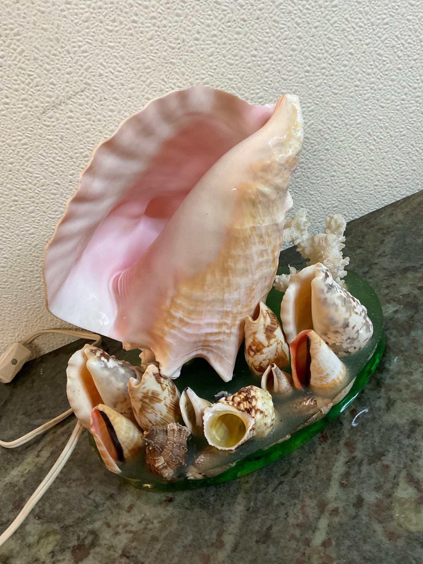 Vintage Pink Queen Conch Shell Lamp