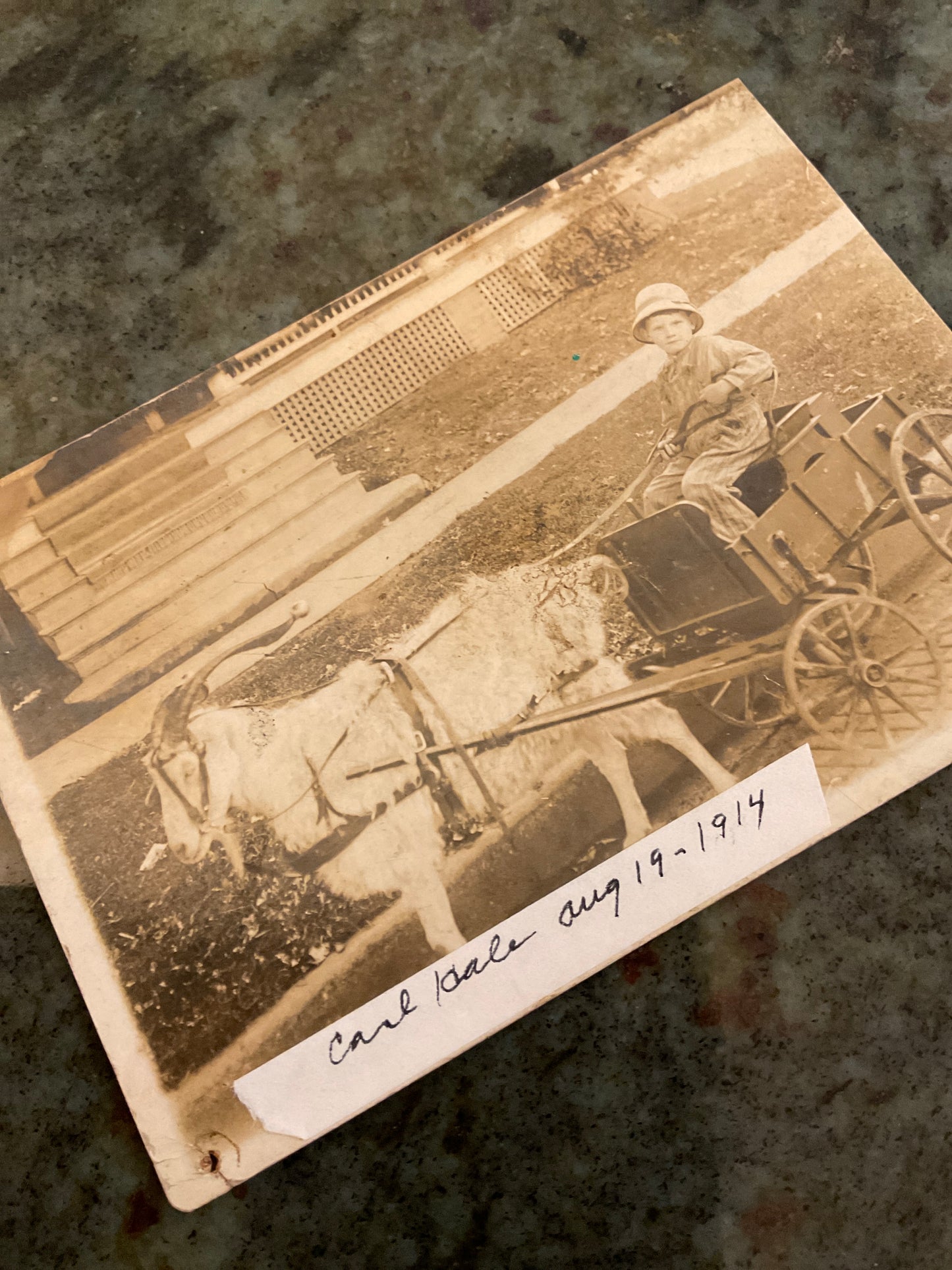 Postcard Photo 1914 Boy/Cart/Goat