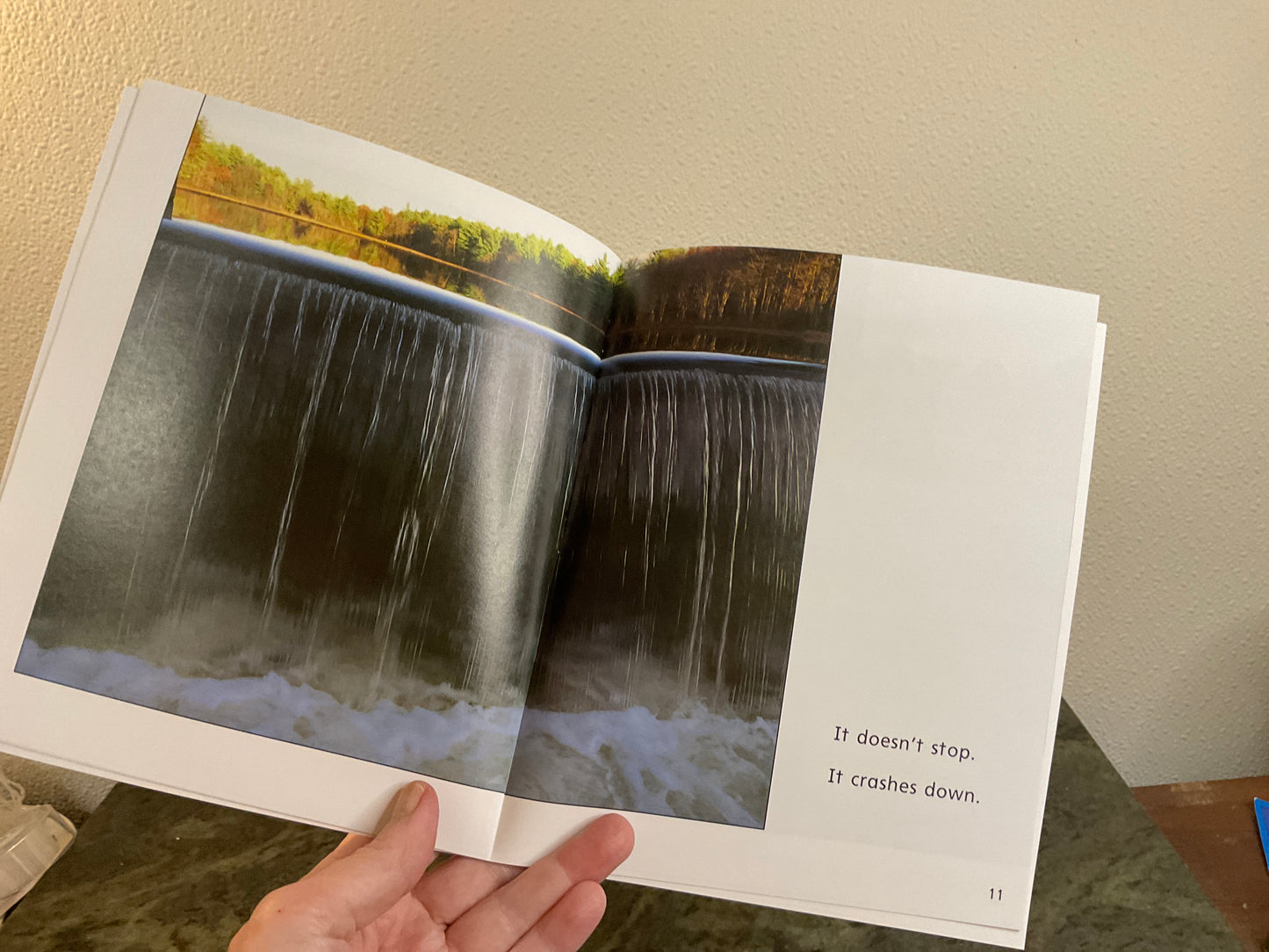 Book The River Grows