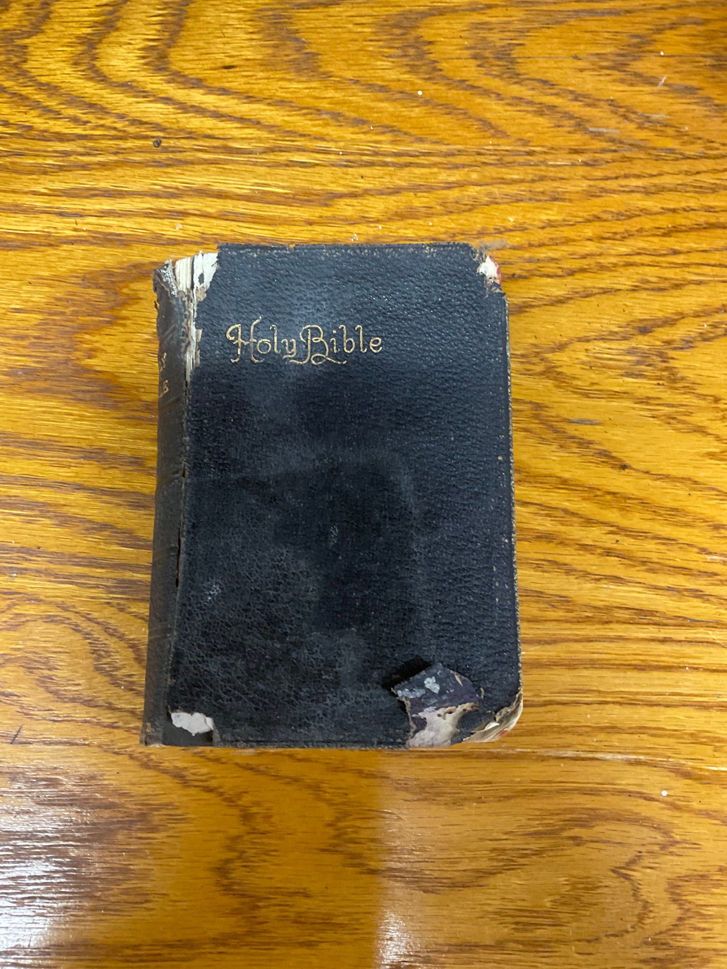 Holy Bible- 1896