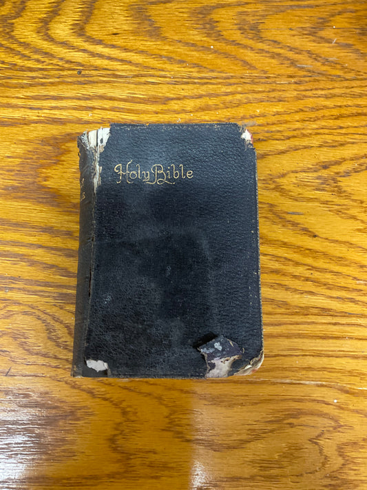 Holy Bible- 1896