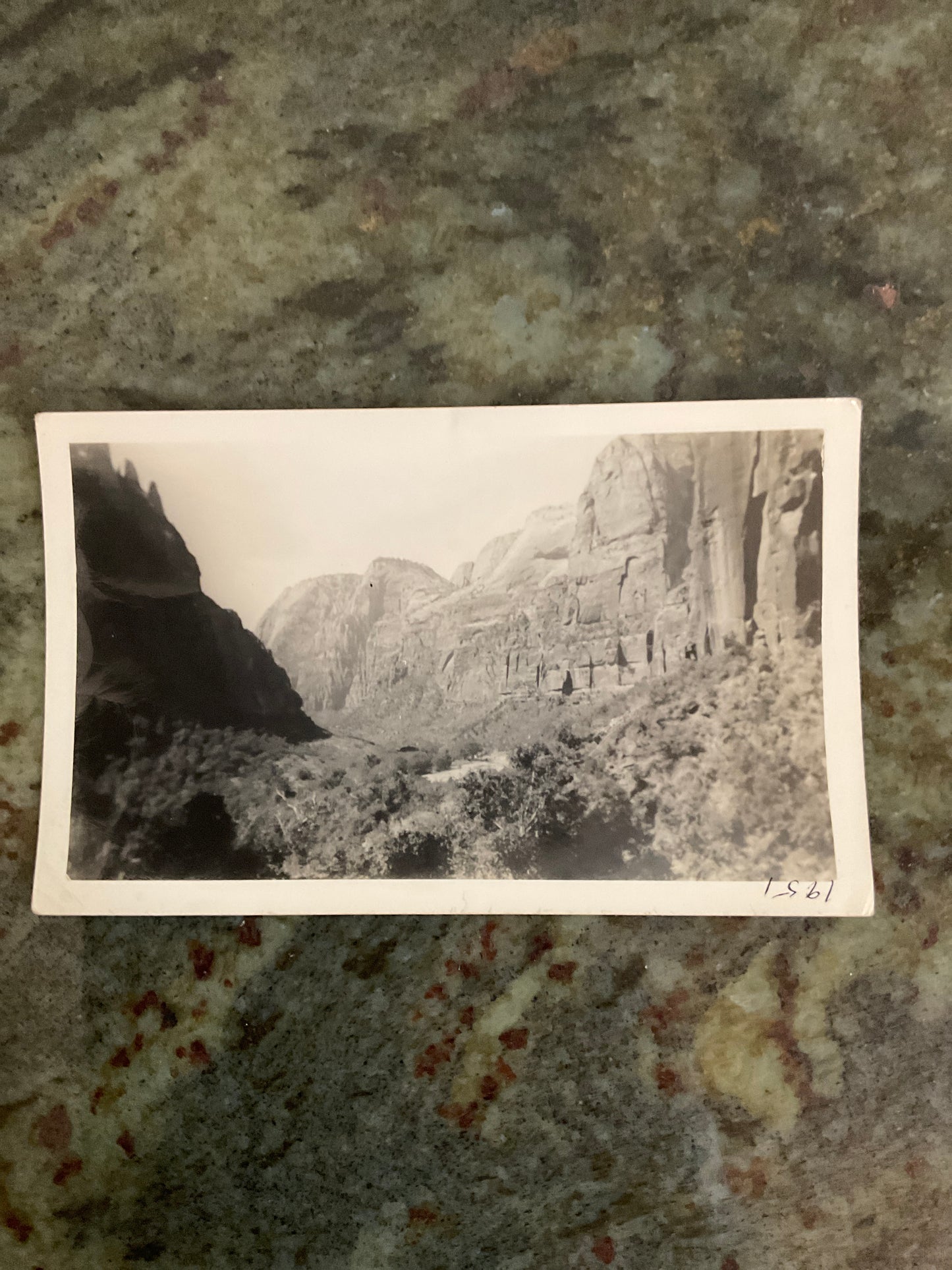 Vintage Photograph