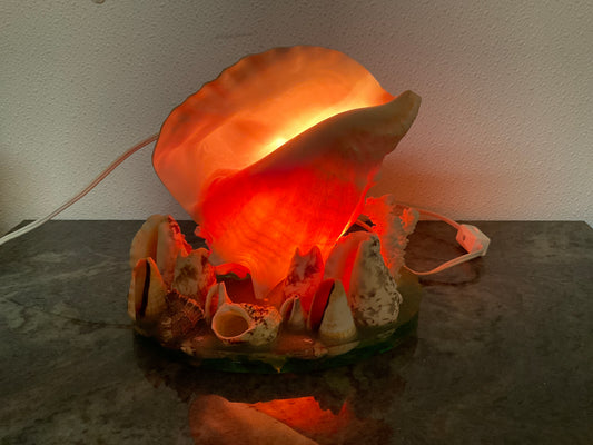 Vintage Pink Queen Conch Shell Lamp