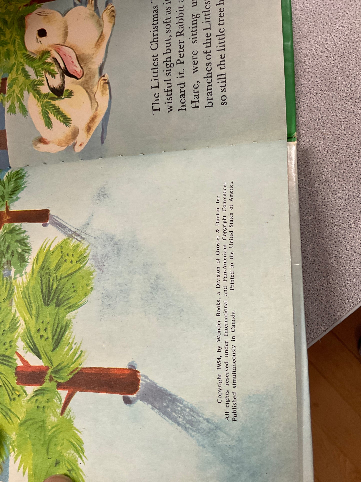 Book The Littlest Christmas Tree