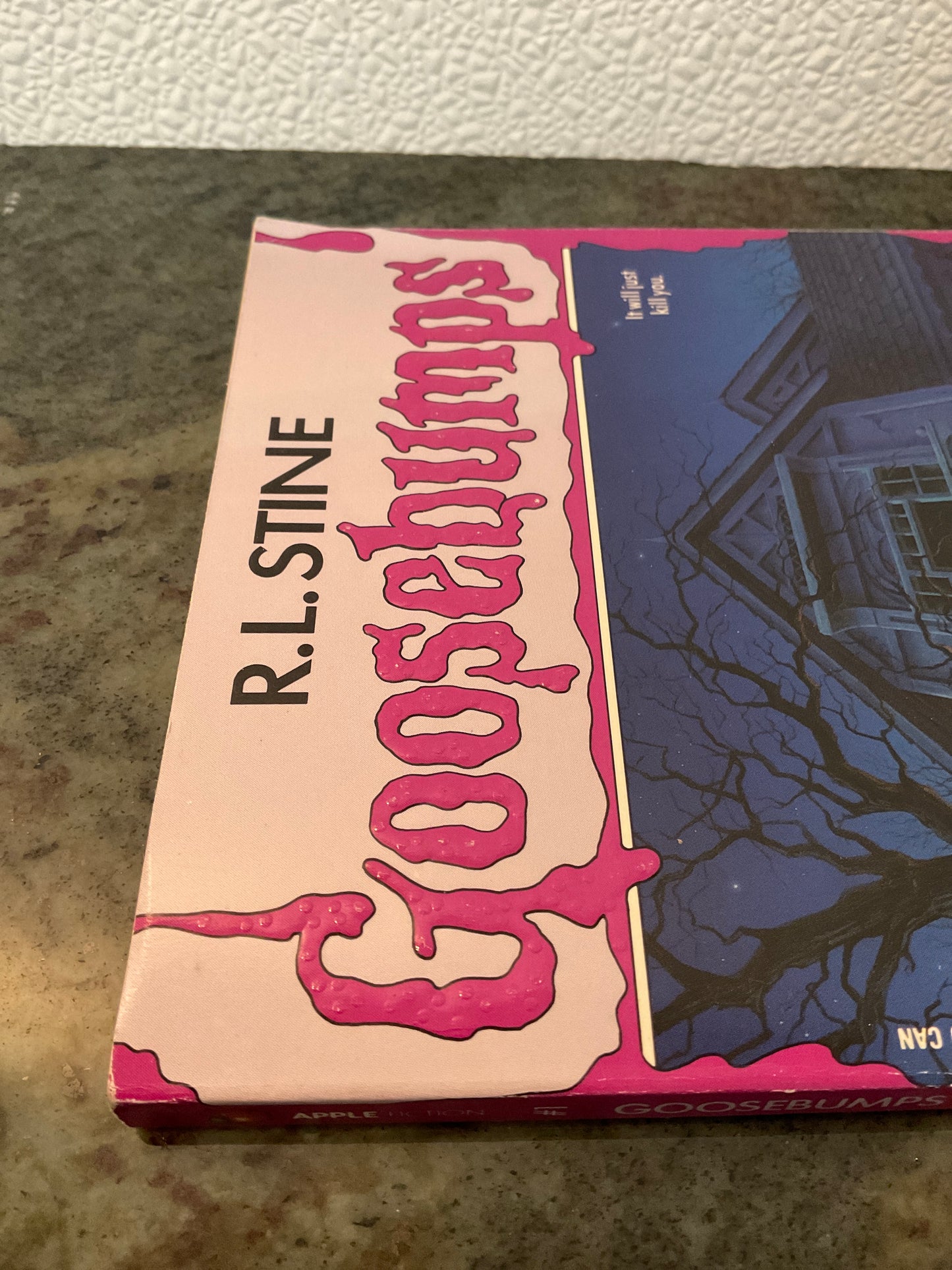 R.L.Stine Goosebumps Welcome To Dead House