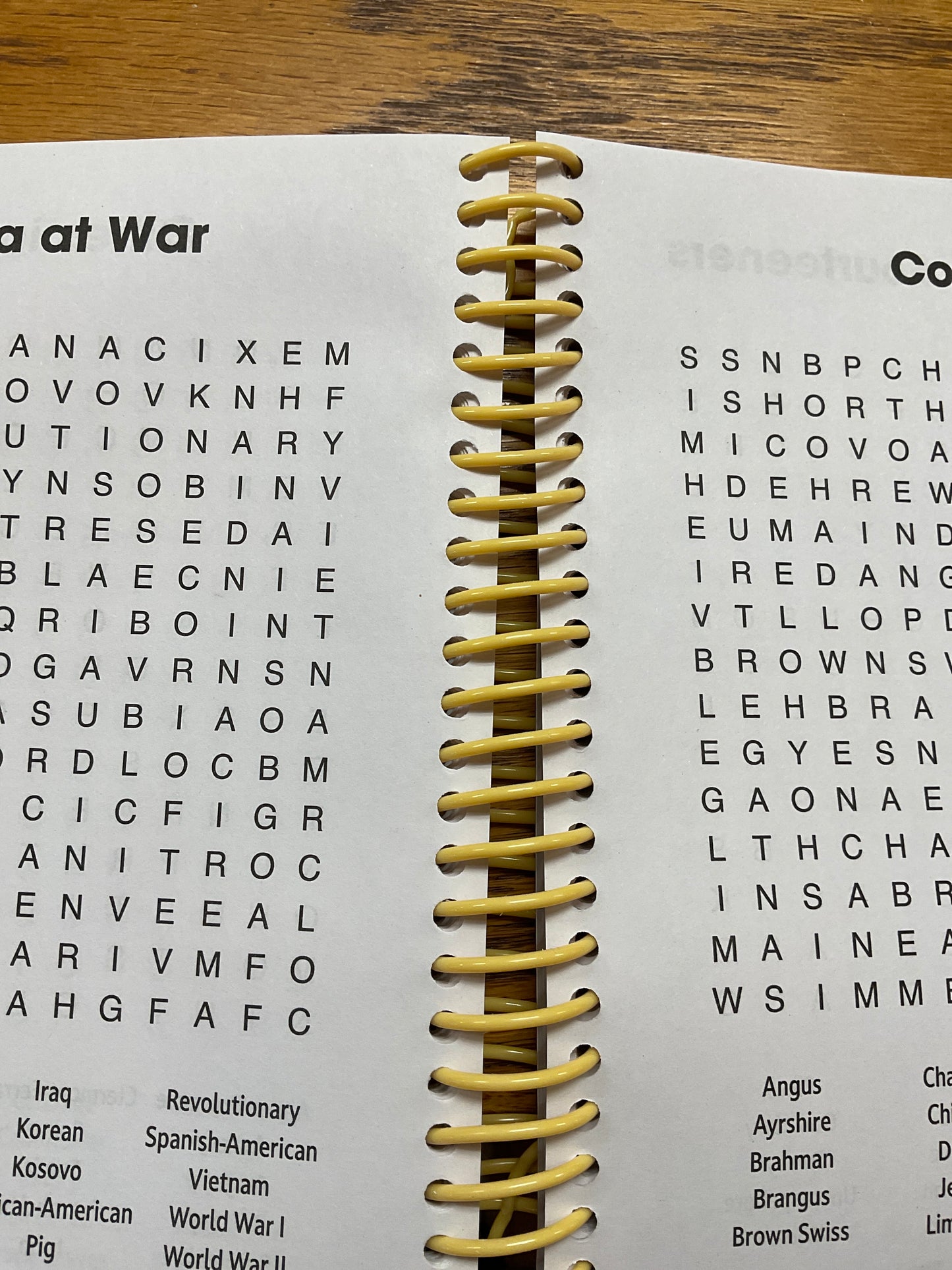 Word Search Book