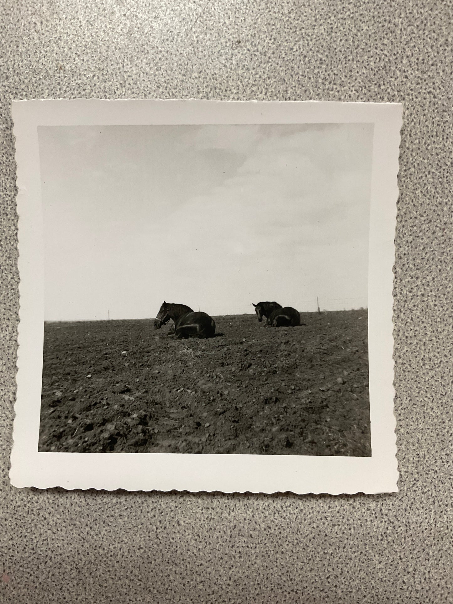 Vintage Photograph