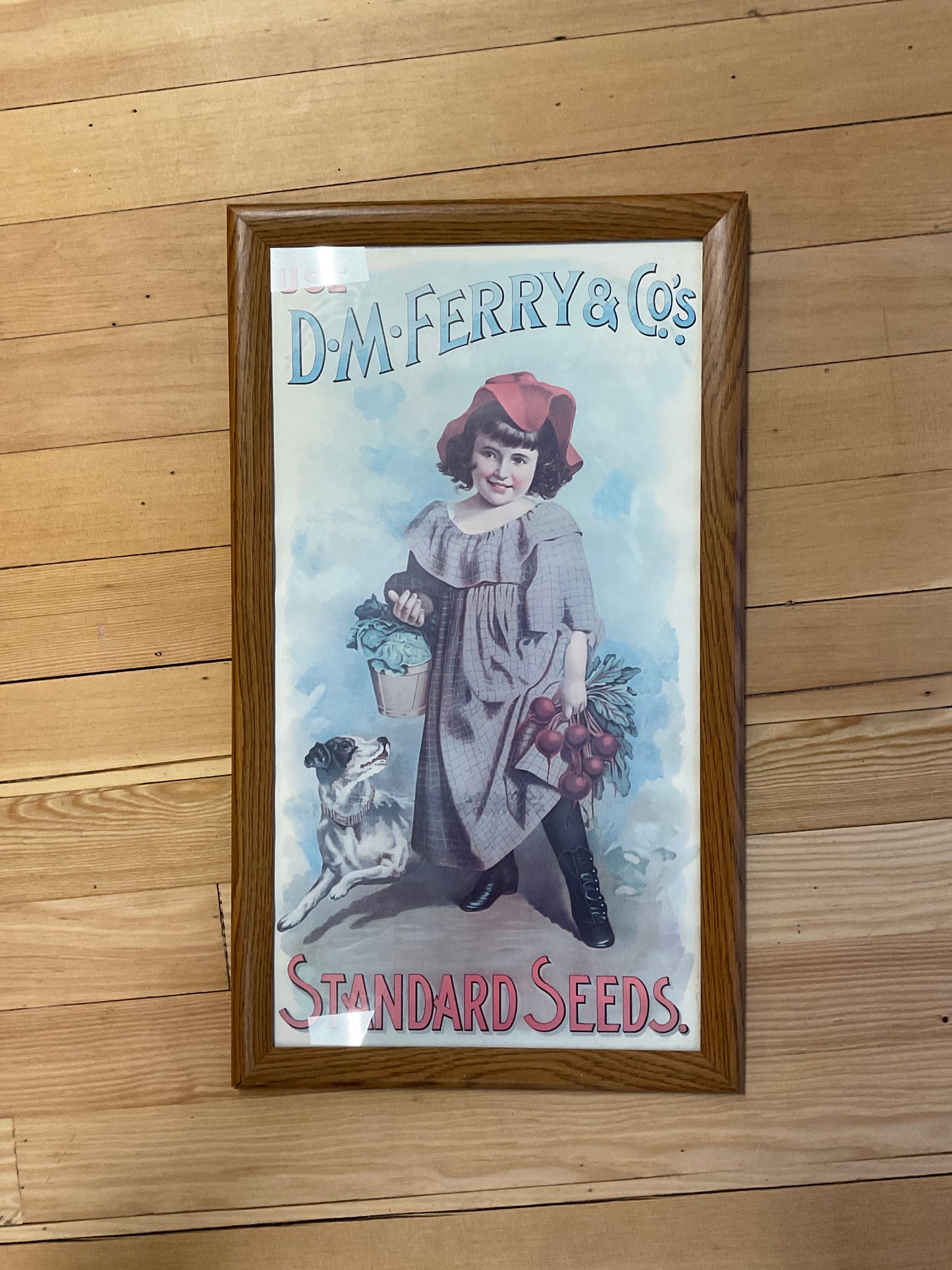 D.M. Ferry and Co’s Standard Seed pictures Set