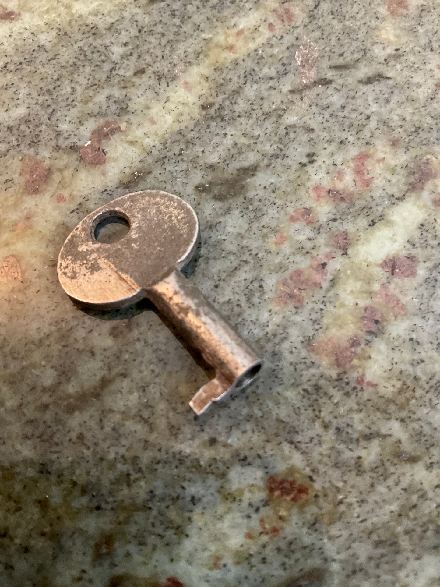 Vintage Skeleton Key