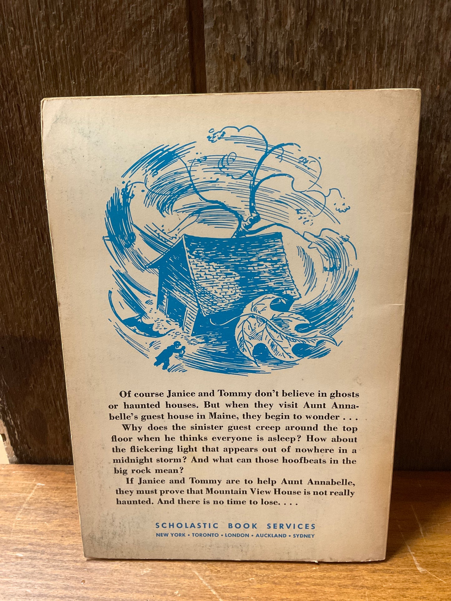 Book The Ghost Rock Mystery 1971
