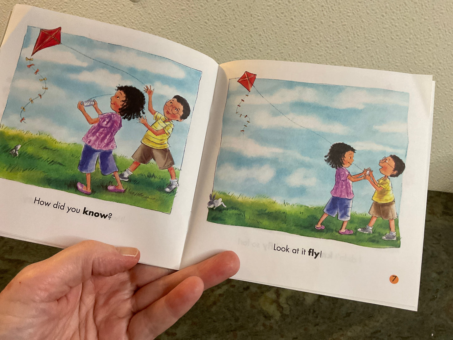 Book Flying Kites/A Season of Sight Words