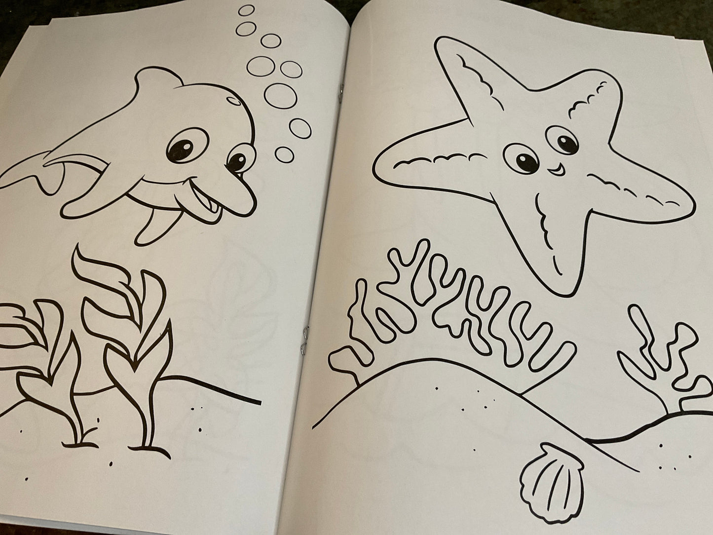 Fun Sharks! Coloring & Sticker Activity