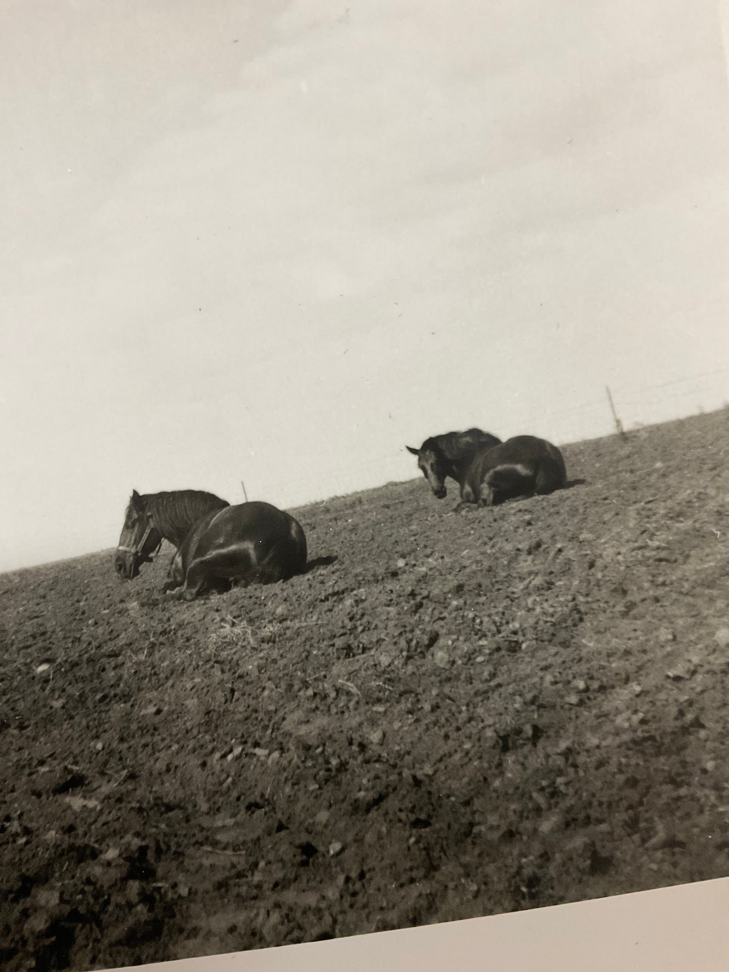 Vintage Photograph