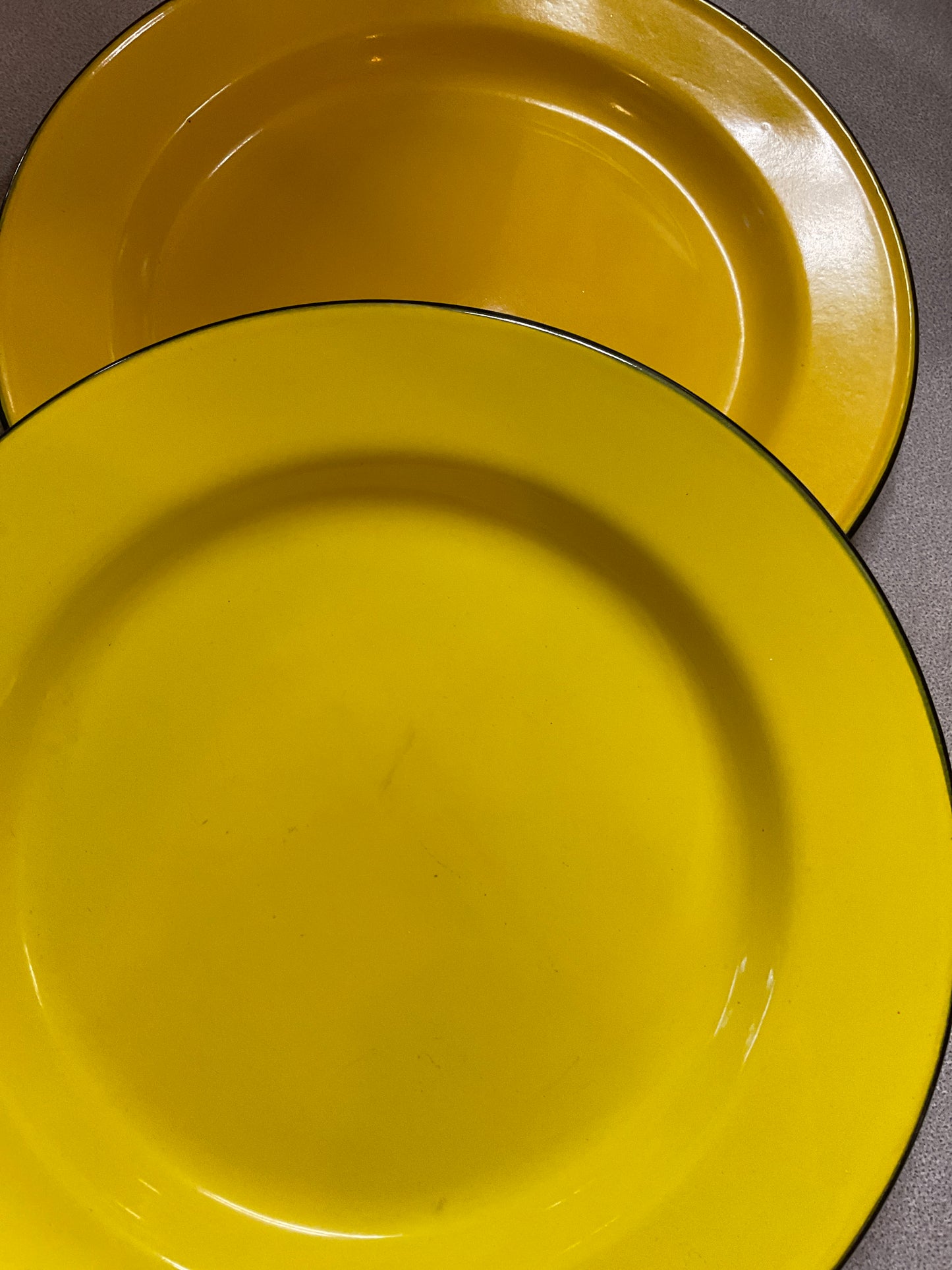 Vintage Enameled Dinner Plates ( Set of 2)