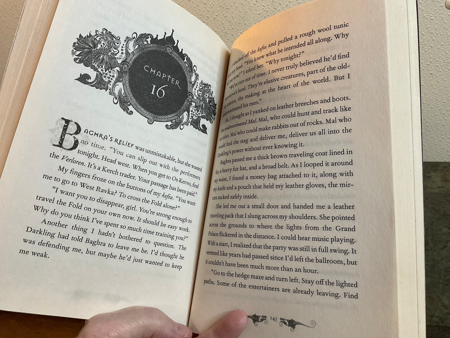 Book Shadow And Bone